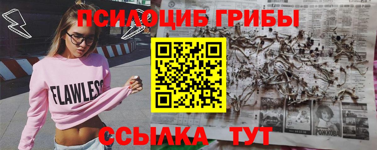 Псилоцибиновые грибы GOLDEN TEACHER  Вход с VPN  Краснокаменск 